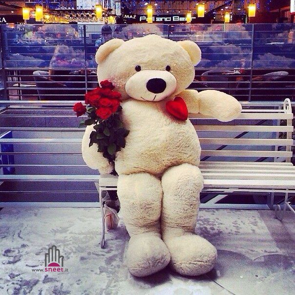 Immagine prodotto 12