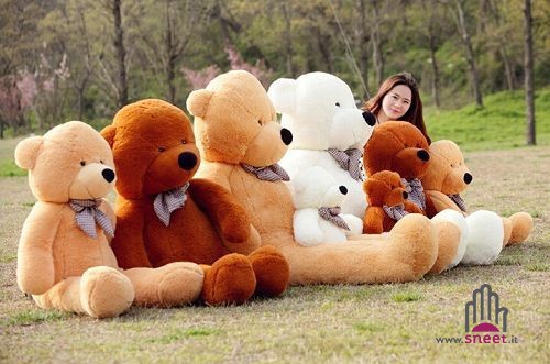 Immagine prodotto 15